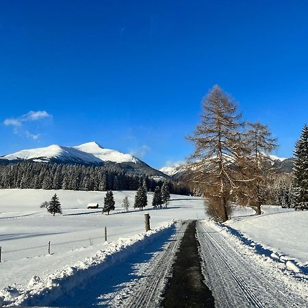 Chalet Am Teich Familie Gaenser Villa Feistritz am Kammersberg Kültér fotó