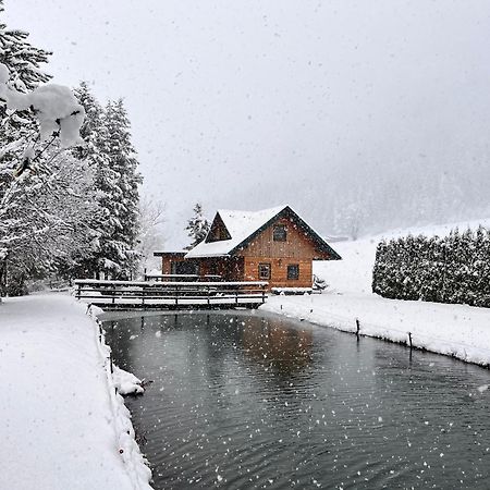 Chalet Am Teich Familie Gaenser Villa Feistritz am Kammersberg Kültér fotó