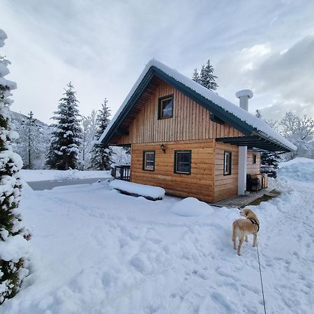 Chalet Am Teich Familie Gaenser Villa Feistritz am Kammersberg Kültér fotó