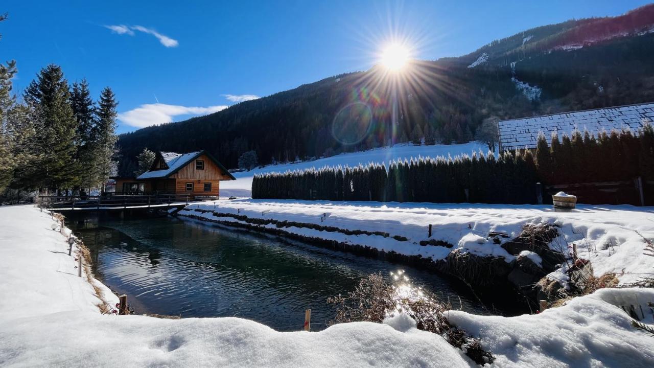 Chalet Am Teich Familie Gaenser Villa Feistritz am Kammersberg Kültér fotó