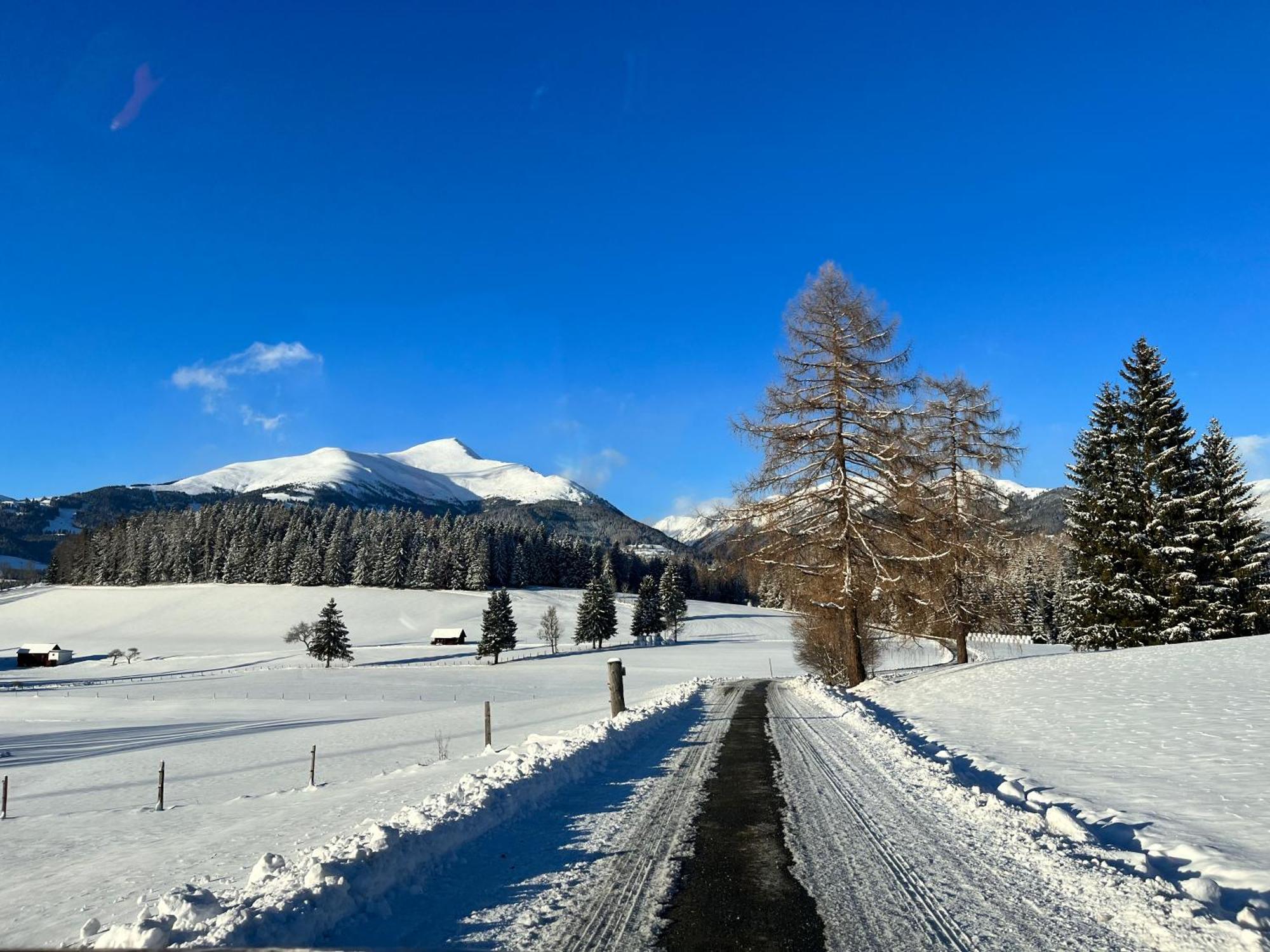 Chalet Am Teich Familie Gaenser Villa Feistritz am Kammersberg Kültér fotó