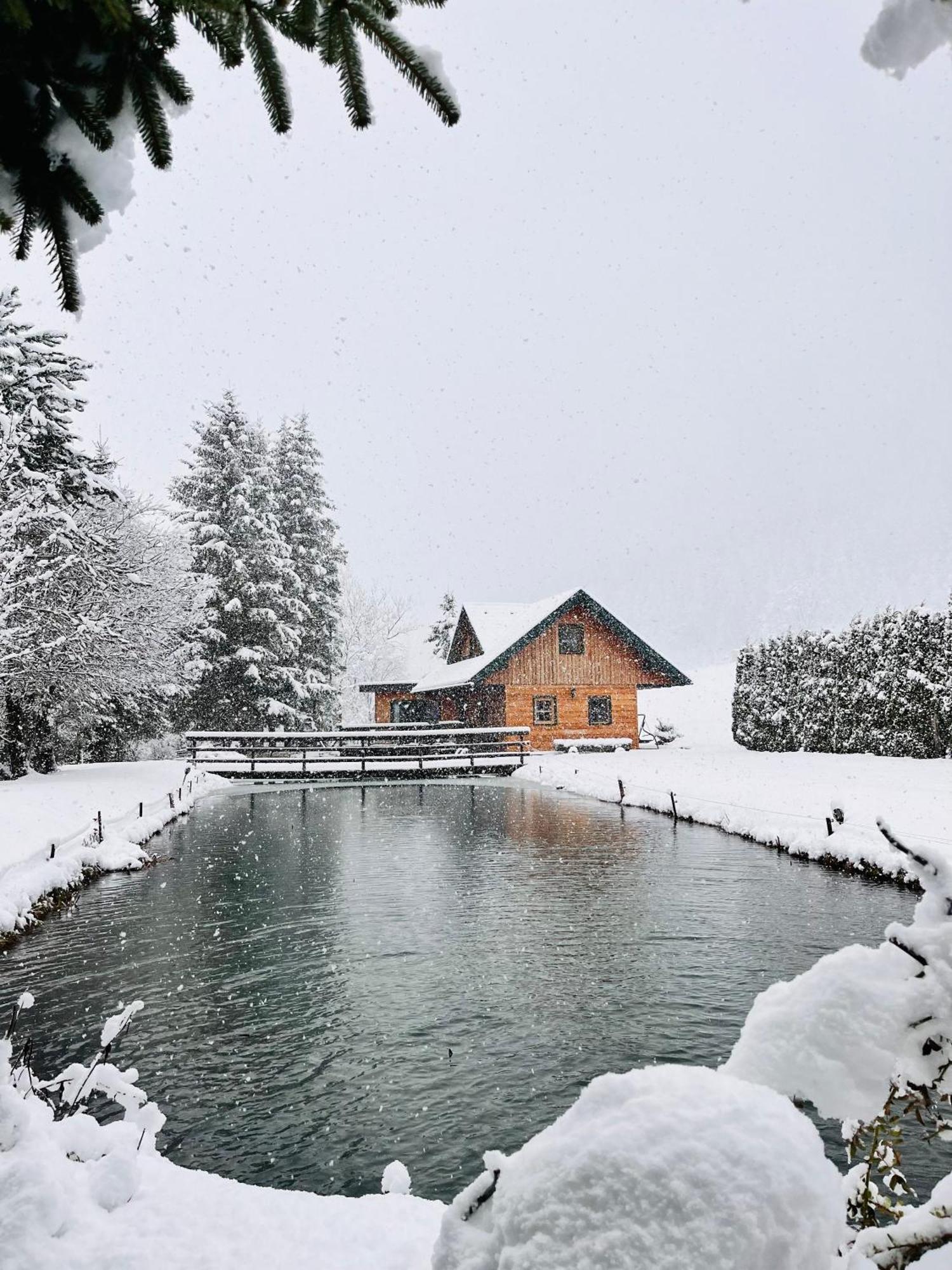 Chalet Am Teich Familie Gaenser Villa Feistritz am Kammersberg Kültér fotó