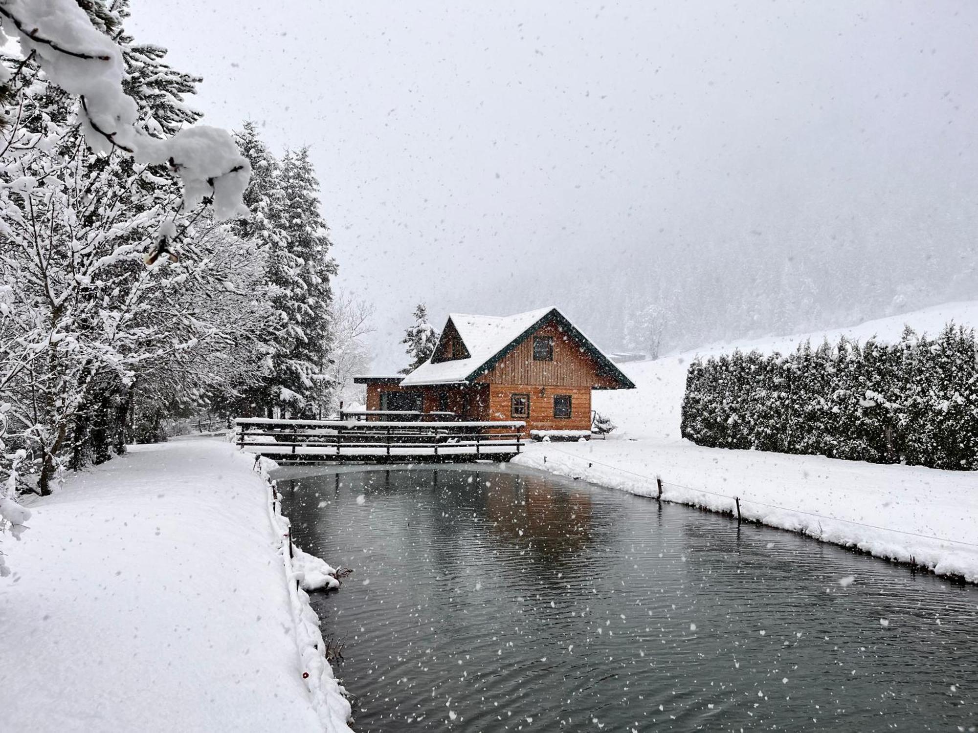 Chalet Am Teich Familie Gaenser Villa Feistritz am Kammersberg Kültér fotó