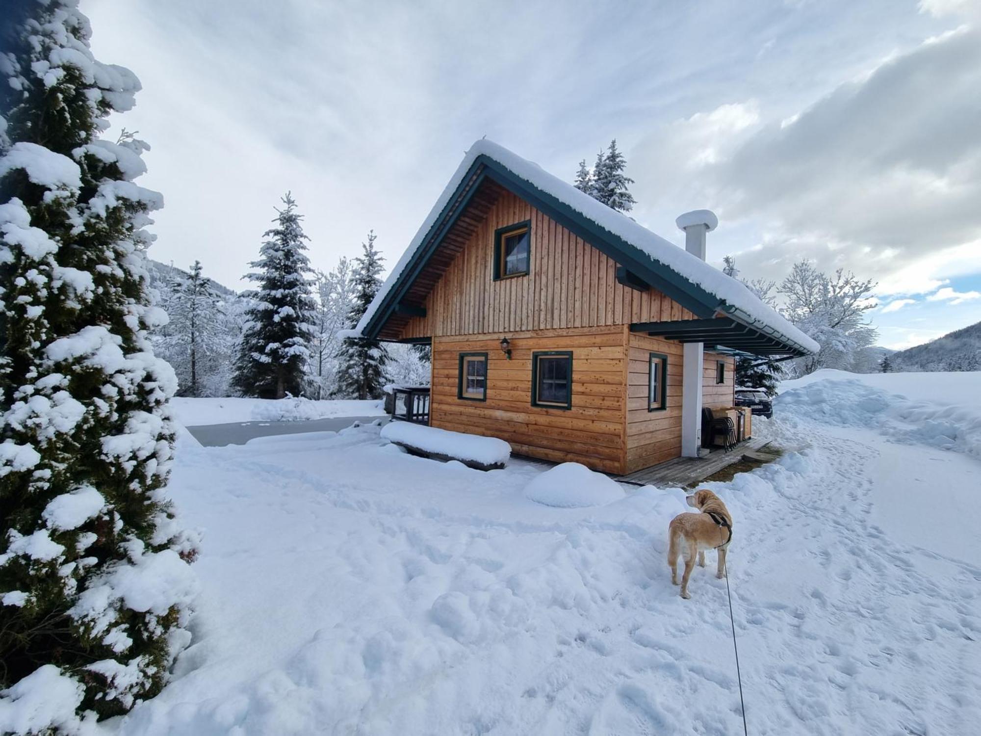 Chalet Am Teich Familie Gaenser Villa Feistritz am Kammersberg Kültér fotó