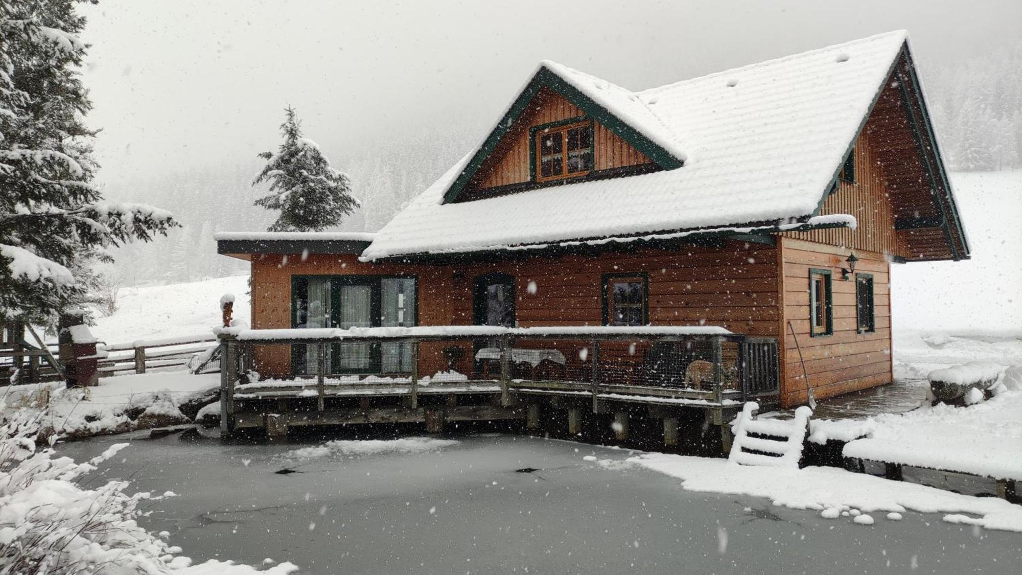 Chalet Am Teich Familie Gaenser Villa Feistritz am Kammersberg Kültér fotó